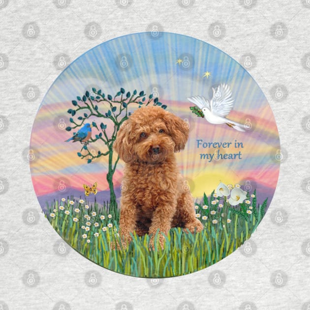 An Apricot Toy Poodle in heaven's Clouds by Dogs Galore and More